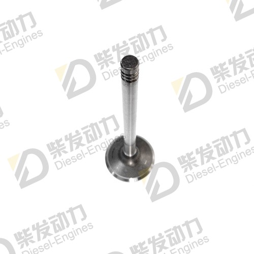 Exhaust valve 21739130